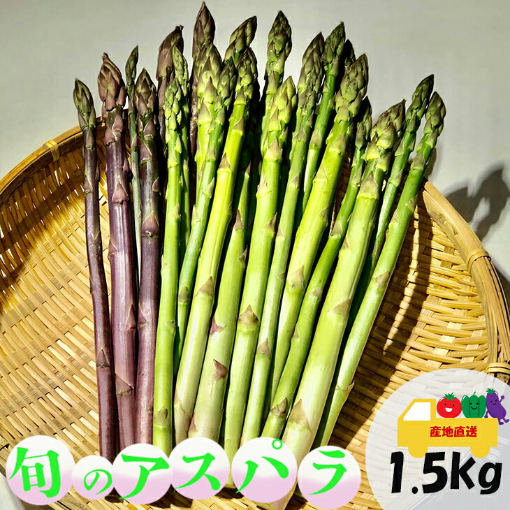 旬のアスパラガス1.5kg [予約受付!] 新鮮野菜 アスパラ