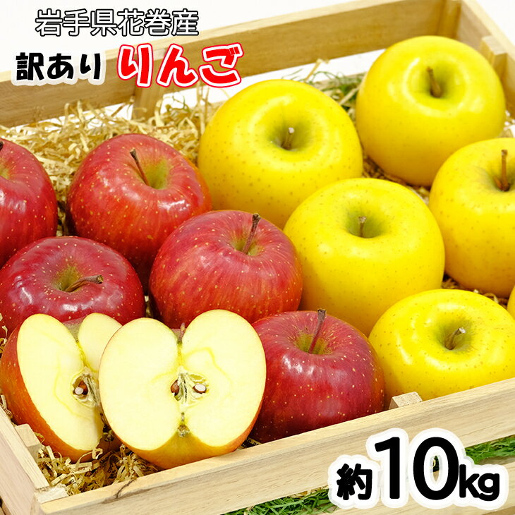 【ふるさと納税】《予約受付中》イーハトーヴ 訳あり ふるさと納税 りんご 家庭用 10kg セット 岩手県花巻産 9月より発送開始のサムネイル
