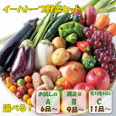 【ふるさと納税】いわて花巻産 イーハトーヴ野菜セット ≪選べる内容量! お試しセット(6品~) or 満足セット(9品~) or もりもりセット(11品~)≫ 旬 野菜 果物 お楽しみ