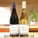 【ふるさと納税】メルロー & シャルドネ アールペイザンワイナリー 赤白 ワインセット 750ml×2本 赤ワイン 白ワイン ギフト 花巻市 岩手県