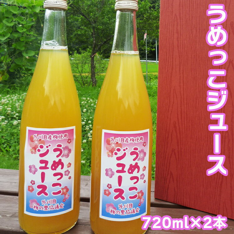 【ふるさと納税】【添加物不使用】うめっこジュース（720ml