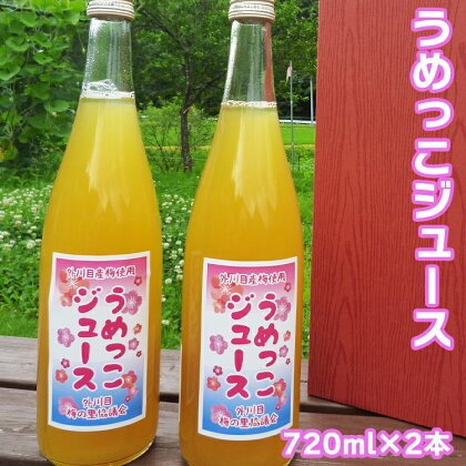 【添加物不使用】うめっこジュース（720ml×2本セット）