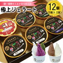 9位! 口コミ数「0件」評価「0」花巻発！極上ジェラート12個セット 120ml×5種類 厳選 アイス ジェラート スイーツ