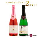 【ふるさと納税】エーデルワイン スパークリング2本セット(ロゼ・白)