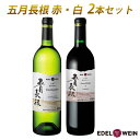 【ふるさと納税】五月長根 (赤・白) 750ml×2本セット エーデルワイン
