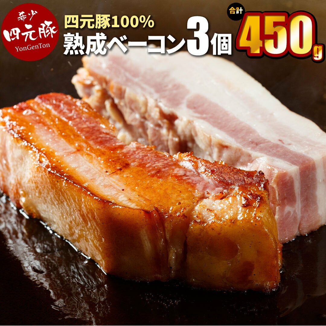 岩手県産 四元豚 熟成ベーコンブロック150g×3個 [GIFTON] ギフト お肉 豚肉 贈答 お中元 お歳暮