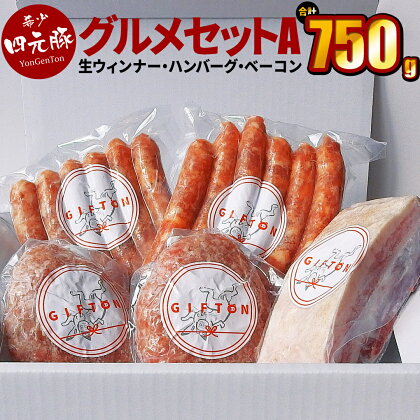 岩手県産 四元豚 グルメセットA （生ウィンナー2種・生ハンバーグ・熟成ベーコンブロック） 750g 【GIFTON】 ギフト お肉 贈答 お中元 お歳暮