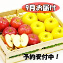 【ふるさと納税】岩手県花巻産 イーハトーヴ訳ありりんご5kg...