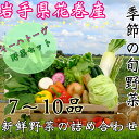 【ふるさと納税】いわて花巻産イーハトーヴ野菜セット