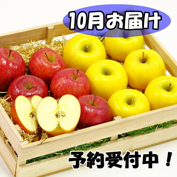 【ふるさと納税】岩手県花巻産 イーハトーヴ訳ありりんご5kgセット《10月より発送予定/予約受付》