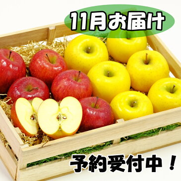 【ふるさと納税】岩手県花巻産 イーハトーヴ訳ありりんご5kgセット《11月より発送予定/予約受付》