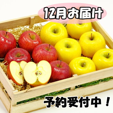 【ふるさと納税】岩手県花巻産 イーハトーヴ訳ありりんご5kgセット《12月より発送予定/予約受付》