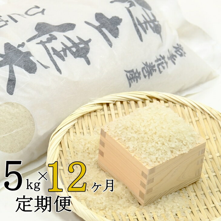 《12ヶ月 定期便》岩手県 花巻産「健土健米」ひとめぼれ(5kg×12回) 令和4年産 お米 ふるさと納税 米 定期便