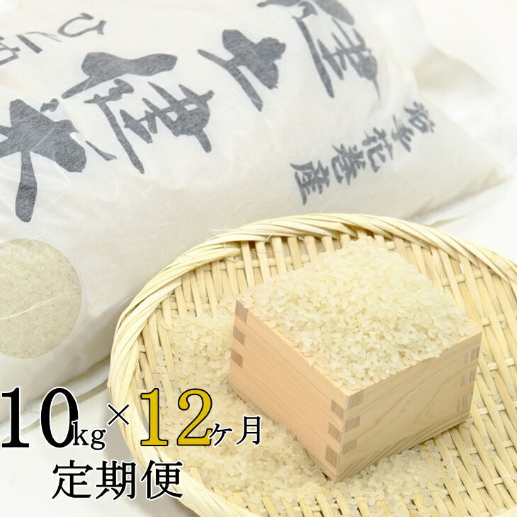 《12ヶ月定期便》岩手花巻産「健土健米」ひとめぼれ(10kg×12回) ふるさと納税 米 定期便 令和4年産 お米