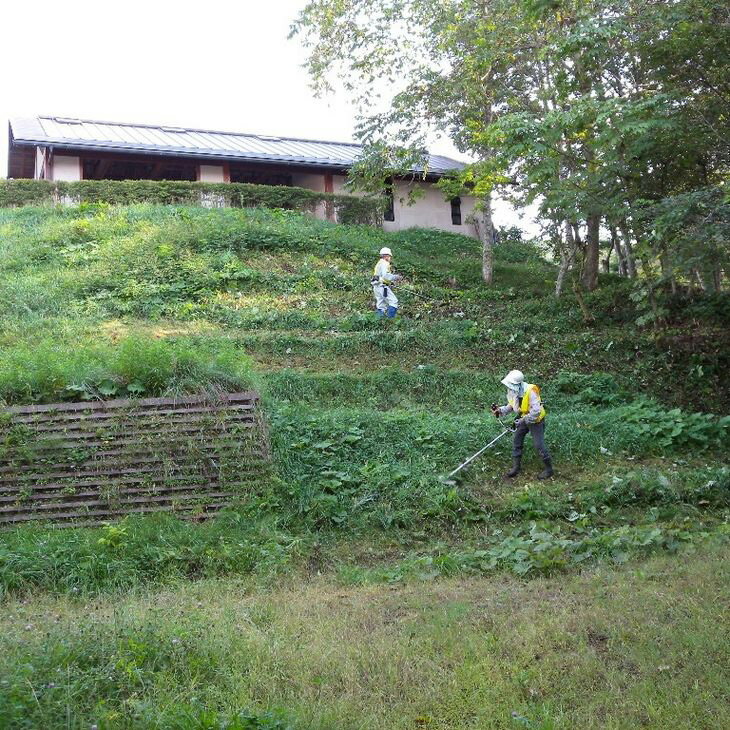 空き家・空き地管理安心サービス(現状確認+草刈り・庭木剪定・枝切)