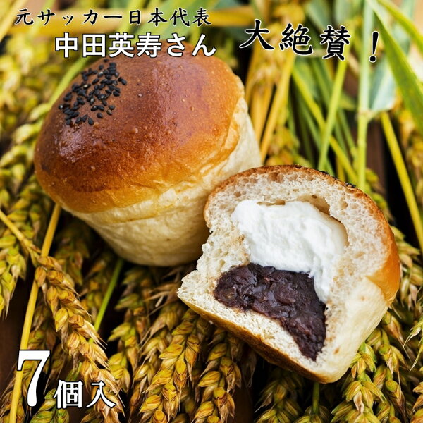 ふるさと納税 スイーツ みんな探してる人気モノ ふるさと納税 スイーツ 食品 ふるさと納税 スイーツ みんな探してる人気モノ ふるさと納税 スイーツ 食品