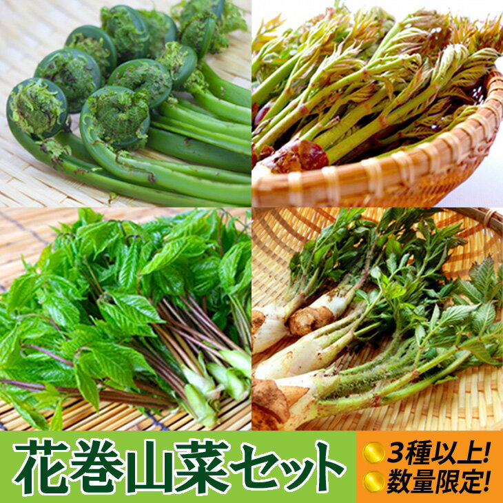 花巻山菜400gセット[3種以上詰合せ]