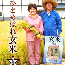 新米 ひとめぼれ 玄米 5kg 減農薬栽培 農家直送 岩手県 花巻産 令和5年産 2023年産