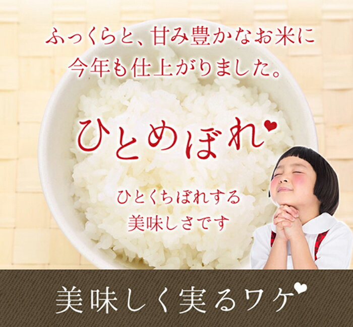 【ふるさと納税】新米 ひとめぼれ 無洗米 5kg 白米 減農薬栽培 令和5年産 2023年産 農家直送 岩手県 花巻産