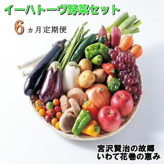 野菜果物定期便