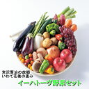 【ふるさと納税】いわて花巻産イーハトーヴ野菜セット 旬 野菜 果物 お楽しみ 詰め合わせ 7〜10品