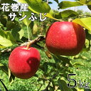 【ふるさと納税】花巻産お楽しみ りんご サンふじ 5kg (...