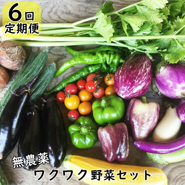 11位! 口コミ数「4件」評価「5」【定期便 6回】 ひばり農園の無農薬ワクワク 野菜セット 《予約受付 6月より発送開始》 ふるさと納税 野菜 定期便