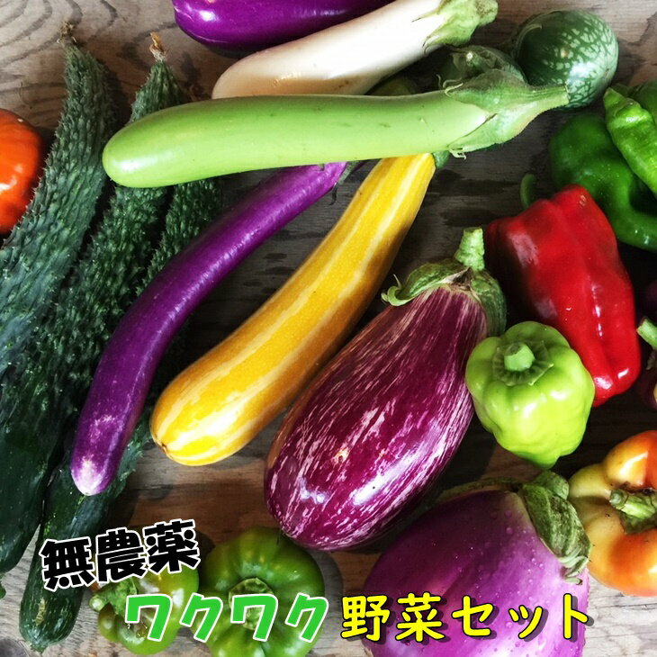 【ふるさと納税】ひばり農園の無農薬ワクワク野菜セット お楽し