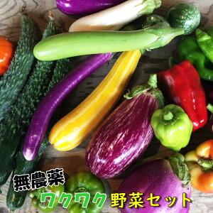 【ふるさと納税】ひばり農園の無農薬ワクワク野菜セット