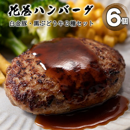 白金豚と黒ぶだう牛 ハンバーグ・味噌deハンバーグ 6個 セット 豚肉 牛肉 ブランド肉