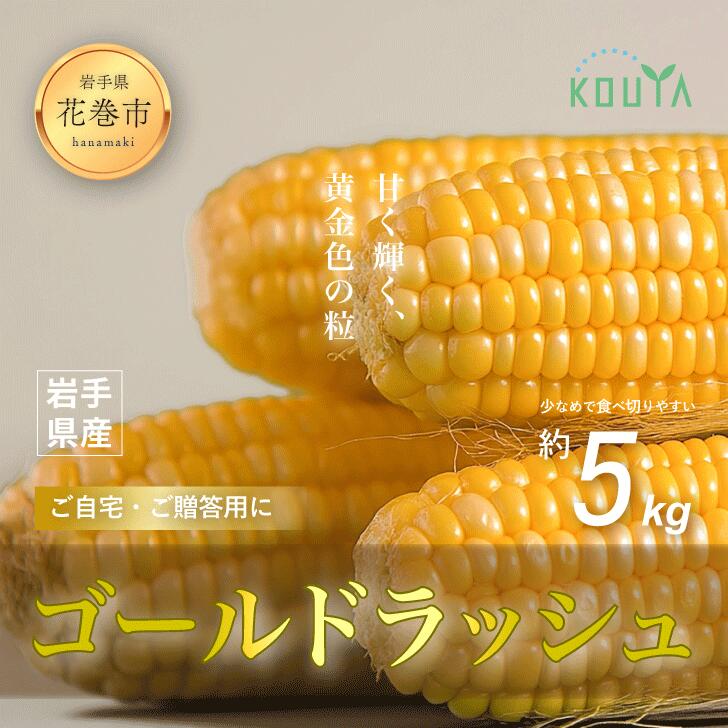 【ふるさと納税】 《先行予約》 岩手県産 耕野のとうもろこし 「ゴールドラッシュ」 約5kg(10〜15本) スイートコーン 農家直送 6月下旬より発送開始
