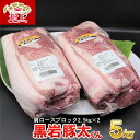 【ふるさと納税】★ 黒岩 豚太くん ★ 特選 豚肉 肩ロース ブロック 約 5kg 約2.5kg 2 豚 肉 料理 希少 BBQ バーベキュー ロース ブロック 希少豚 岩手県産 くろいわ 産地直売所 NPO法人 明日の…