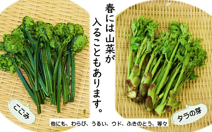 【ふるさと納税】【定期便 / 6ヵ月】旬の 野菜セット A（6品以上）くろいわ産直のお母さんおすすめ！ 産直 直送 野菜 根菜 山菜 新鮮 フレッシュ旬の野菜 採れたて 岩手県産 北上産 黒岩産 黒岩産地直売所 あすの黒岩を築く会
