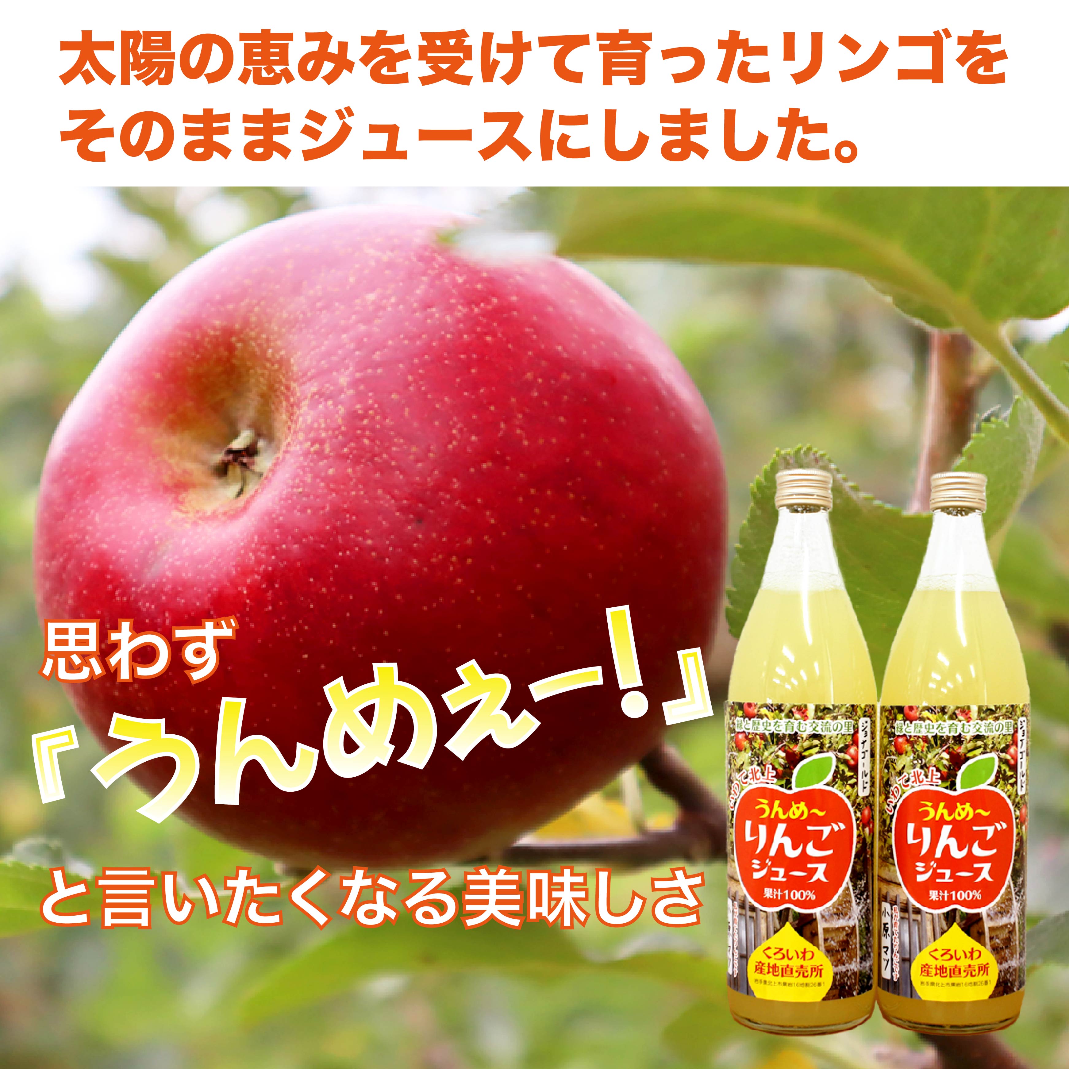 【ふるさと納税】黒岩産 りんごジュース 900ml × 2本 リンゴ 林檎 新鮮 果実 フルーツ 岩手県 くろいわ産地直売所 紅玉 ジョナゴールド 完熟 りんご ジュース くろいわ 北上市 黒岩 地区