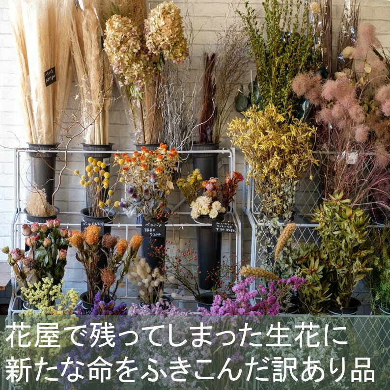 【ふるさと納税】花 ドライフラワースワッグ スペシャル 贈答 お祝い 母の日 記念日 プレゼント 送別会 名入れ メッセージカード おしゃれ 上品 インテリア 玄関 リビング 雑貨 飾り 日付指定可能 工房 パルテール