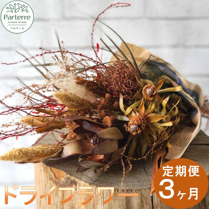 [定期便 / 3ヶ月] 花 ドライフラワー の 定期便 パルテール便り付き お祝い 記念日 贈り物 贈答 インテリア 玄関 レストルーム リビング 飾り 雑貨 プレゼント 花工房 パルテール