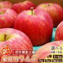 【ふるさと納税】\ 予約受付 単品 9月~発送開始 /北上産 訳あり りんご 量が選べる 5個入り・2kg ・ 5kg 、回数 1回~ 6回 定期便 北上産 岩手県産 黄王 つがる ジョナゴールド 星の金貨 スリムレッド ふじ フジ シナノゴールド 季節限定 リンゴ 岩手県 北上市 P&Cリンク