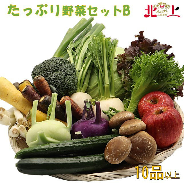 【ふるさと納税】たっぷり野菜セットB〜いっぺ北上の野菜くって