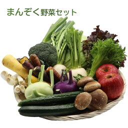 【ふるさと納税】まんぞく 野菜セット C（単月）〜いっぺ 北上 の 野菜 くってけでぇ〜 詰め合わせ 13品以上 人気 リピーター 八百屋 旬 季節 野菜 冷蔵 P&Cリンク