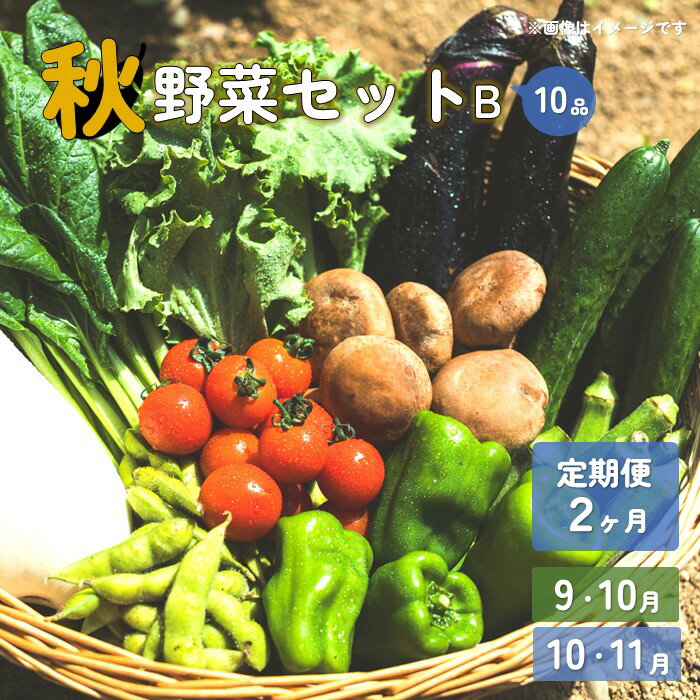 26位! 口コミ数「0件」評価「0」【予約受付/2024年度】秋 野菜セット B【 2ヶ月 定期便 】 10品 以上 季節 旬 秋野菜 きのこ 冷蔵 野菜室 岩手県 北上産 季･･･ 