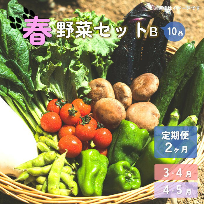 23位! 口コミ数「0件」評価「0」【予約受付/2024年度】春 野菜セット B【 2ヶ月 定期便 】 10品 以上 季節 旬 春野菜 葉物 冷蔵 野菜室 ダイエット 栄養食 ･･･ 