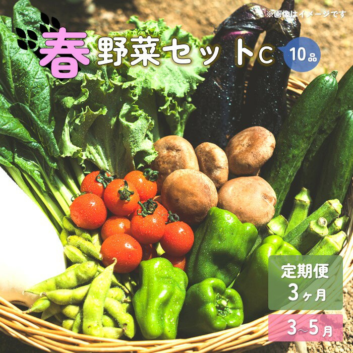 【ふるさと納税】【予約受付/2024年3月から発送】春 野菜セット C【 3ヶ月 定期便 】 10品 以上 季節 旬 春野菜 葉物 冷蔵 野菜室 ダイエット 岩手県 北上産 季節限定 稀少 数量限定 タラの うど こごみ うるい アスパラガス カラー 人参 菜花 ほうれん草 P&Cリンク