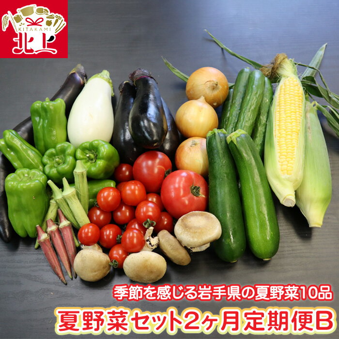 14位! 口コミ数「0件」評価「0」【予約受付/2024年度】夏野菜セットB 10品 【 2ヶ月 定期便 】 季節 旬 夏 野菜 葉物 岩手県産 北上産 季節限定 稀少 数量限･･･ 