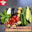 11位! 口コミ数「0件」評価「0」【予約受付/2024年産】夏野菜セットC 10品 【 3ヶ月 定期便 】 季節 旬 夏 野菜 葉物 岩手県産 北上産 季節限定 稀少 数量限･･･ 