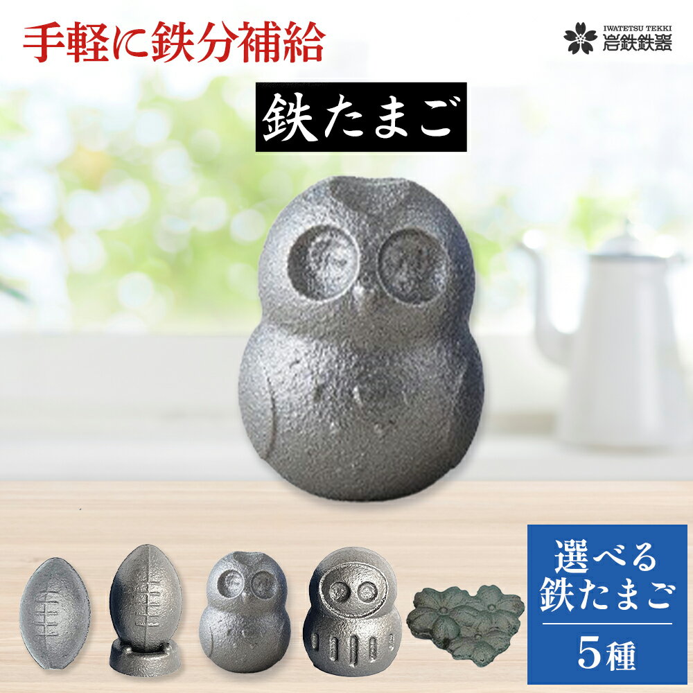 【ふるさと納税】【 鉄分 補給 に!】 鉄たまご 【選べる種類】岩鉄 鉄タマゴ 鉄 貧血対策 妊産婦 授乳中 成長期 のお子様 ダイエット 中 お味噌汁 お茶 ...