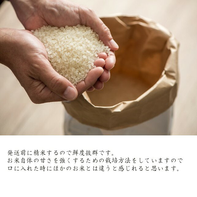 芸能人愛用 郷土 予約受付 令和4年産新米 11月発送開始予定 白米 芸能人愛用 郷土 予約受付 令和4年産新米 11月発送開始予定 白米