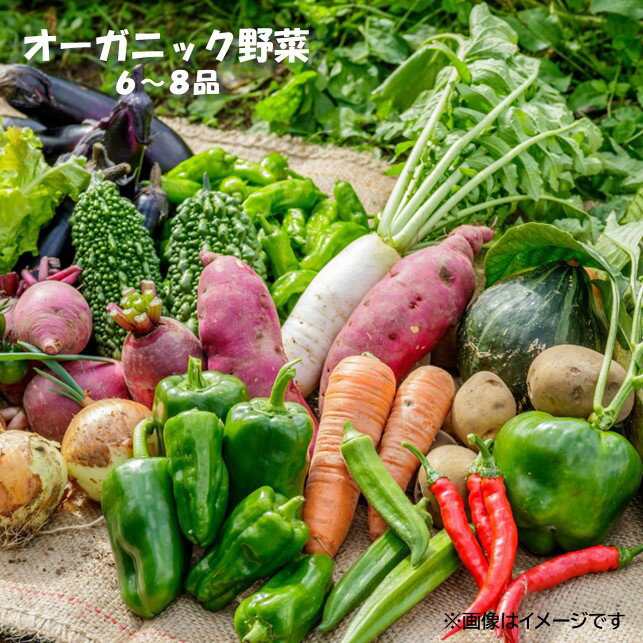 予約受付 ＼2024年7月発送開始予定/ 収穫したての 新鮮野菜 ! オーガニック 野菜セット 6〜8品 農家 採れたて こだわり 神楽農園