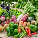 【ふるさと納税】【12月まで発送予定】収穫したての 新鮮野菜 ！ オーガニック 野菜セット 6～8品 農家 採れたて こだわり 神楽農園