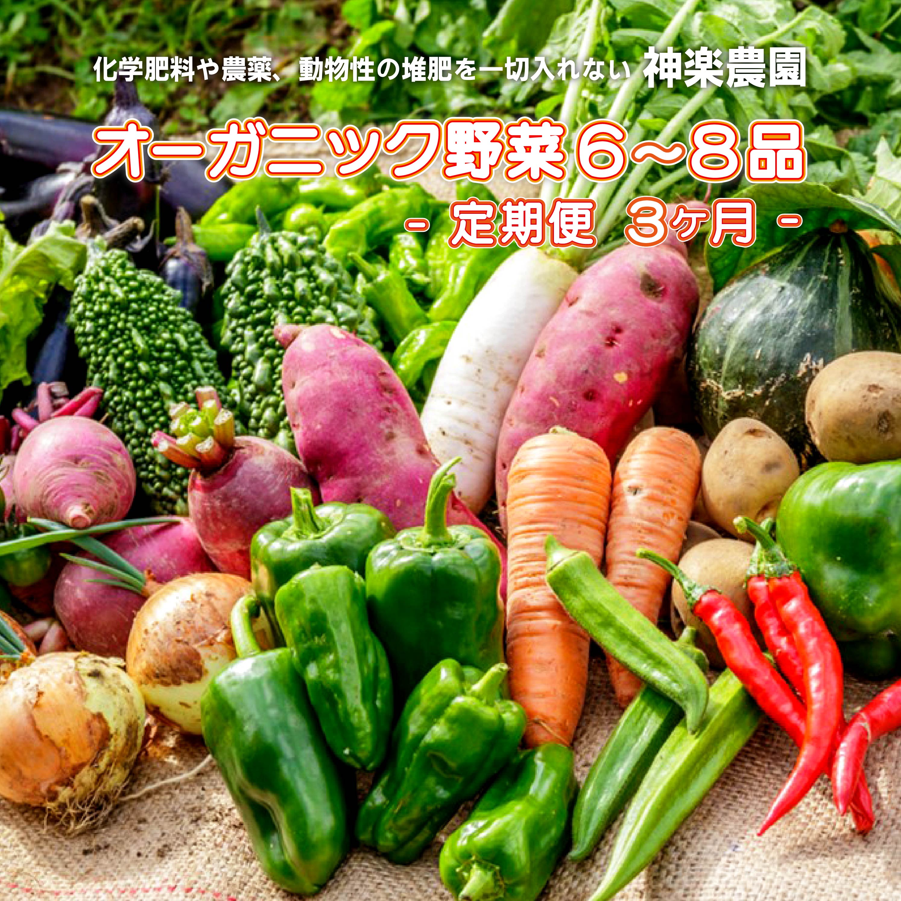 商品説明 名称 【3ヶ月定期便】オーガニック 野菜セット 6～8品 産地名 国産（岩手県） 内容量 旬野菜6~8品（漬物などが入ることがあります） 消費期限　 1週間 商品説明 その旬に収穫した野菜を発送いたします。 根菜など「土つき」で発送する場合がございます。 漬物などが入ることがあります。ご了承ください。 ※配送時期により野菜の内容が変わります。　到着後、すぐ開封し中身をご確認ください※ 　 注意 10/31までにお振込みをお願いします。 　 事業者 神楽農園 ・ふるさと納税よくある質問はこちら ・寄附申込みのキャンセル、返礼品の変更・返品はできません。寄附者の都合で返礼品が届けられなかった場合、返礼品等の 再送はいたしません。あらかじめご了承ください。 ・この商品はふるさと納税の返礼品です。スマートフォンでは「買い物かごに入れる」と表記されておりますが、寄附申込み となりますのでご了承ください。【ふるさと納税】【3ヶ月定期便】収穫したての 新鮮野菜 ！ オーガニック 野菜セット 6～8品 こだわりの野菜セットを新鮮な状態でお届けします！ その旬に収穫した野菜を発送いたします。根菜など「土つき」で発送する場合がございます。 岩手県有機農業連絡協議会会員 (一社)MOA自然農法文化事業団 認証取得　平成24年11月1日 No．5012－0003－4081 ☆ 長期不在日は必ず記載下さい☆ 記載なくお受け取りが出来ない場合、再発送は出来かねます。ご了承下さい。 商品番号：G0020 　発送元：神楽農園 受領書・ワンストップ特例のお届けについて ページ下部「お買い物ガイド」に記載してございますので、そちらをご覧下さい。