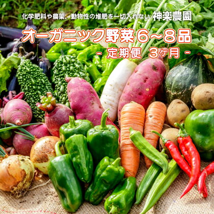 【 予約受付 2024年7月～発送開始予定/ 3ヶ月 定期便】 収穫したての 新鮮 野菜 ！ オーガニック 野菜セット 6～8品